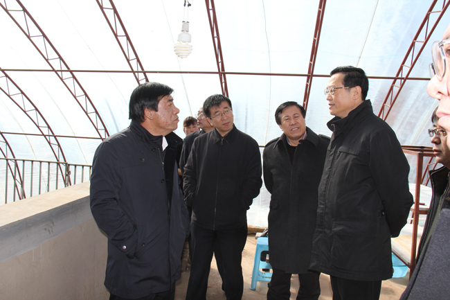 領(lǐng)導(dǎo)視察